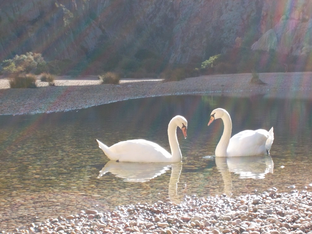 Sei still und wisse...